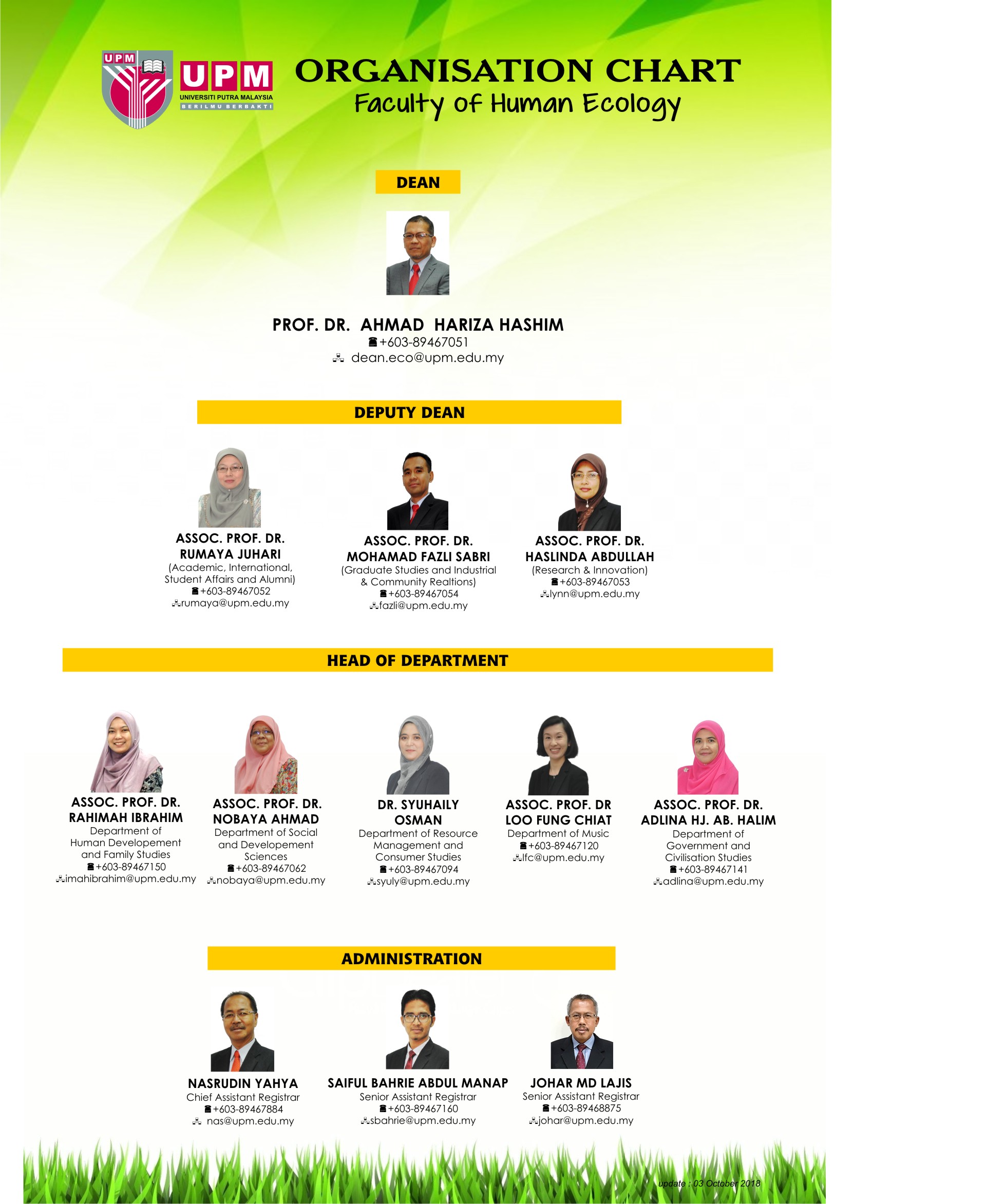 Organization Structure